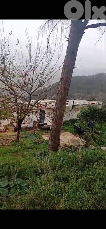 land for sale in Mazeraat yechouh أرض للبيع في مزرعة يشوع