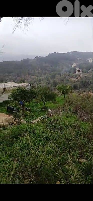 land for sale in Mazeraat yechouh أرض للبيع في مزرعة يشوع