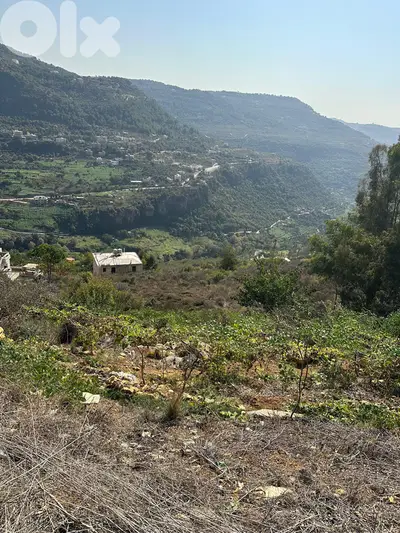 Land for sale in Deir al Qamar Chouf عقار للبيع في دير القمر الشوف