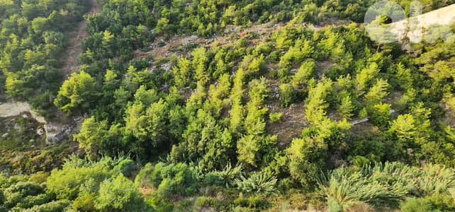 Land for sale in Awkar/ Awesome Seaview Land for sale in Awkar/ Awesome Seaview