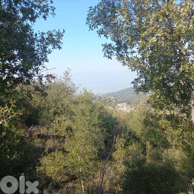 GMB170SZ - Land For Sale In Annaya - أرض للبيع في عنايا