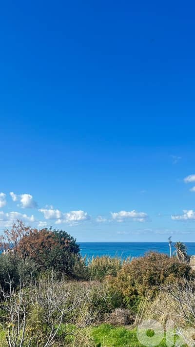 Land for sale in Thoum, Batroun أرض للبيع في تحوم، البترون Land for sale in Thoum, Batroun أرض للبيع في تحوم، البترون