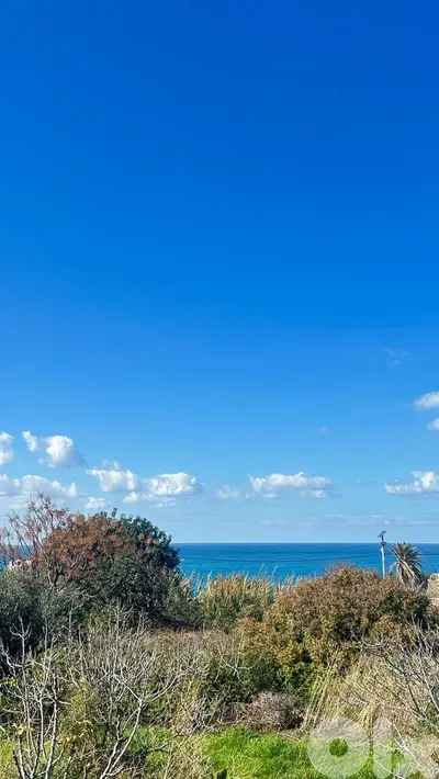 Land for sale in Thoum, Batroun أرض للبيع في تحوم، البترون