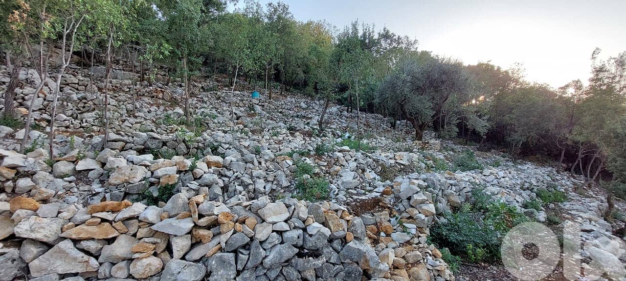 1,010 sqm Land for Sale with Beautiful view 5