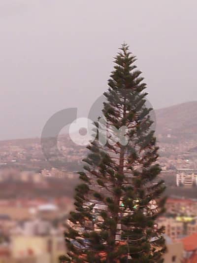 Garden of 200 sqm,Sea and Mountain View, Koura/الكورة REF#RL132625