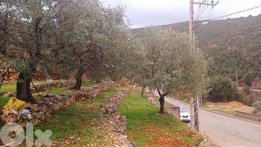 lands for sale Autostrade Batroun-Ouraارض للبيع اوتوسترادالبترون-عورا