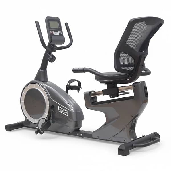 Magnetic Recumbent Bike 301 0