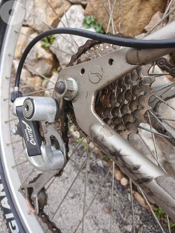 Giant Yukon 6