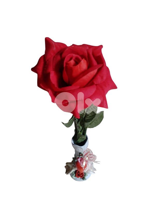 rose in a vase 0