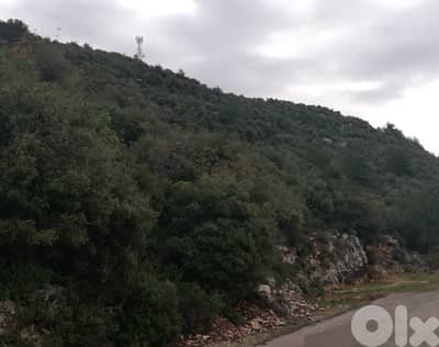 Land for sale in Blat ارض للبيع في بلاط
