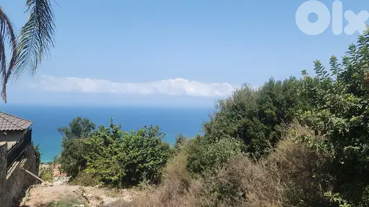Land for sale in Halat Open view ارض كاشفة للبيع في حالات