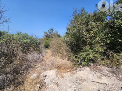 Land for sale in Halat Open view ارض كاشفة للبيع في حالات