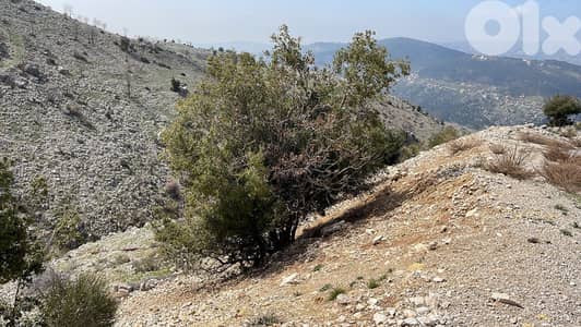 Land for Sale in Zaarour