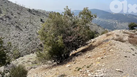 Land for Sale in Zaarour