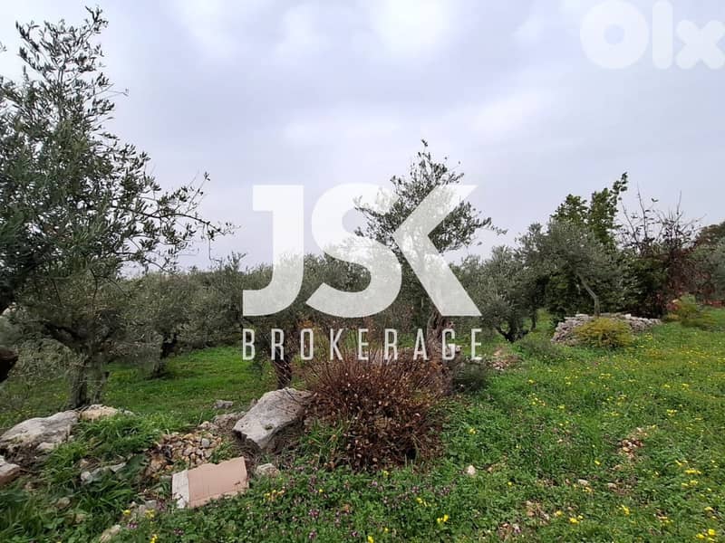 L20398 - Beautiful Land For Sale in Monsef With No Slope 0