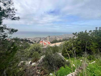 Land For Sale In Blat | Unblockable View | أرض للبيع | PLS 26460