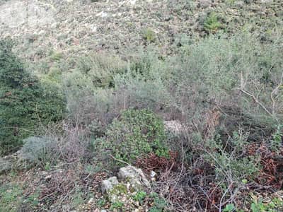Land For  Sale In Blat | Near LAU | أرض للبيع | جبيل | PLS 26459