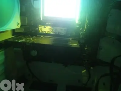 Budget gpu