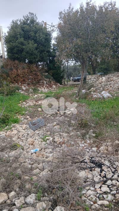 Land for sale in Hamat – Batroun أرض للبيع في حامات - البترون