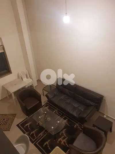 Luxurious Fully Furnished Apartments