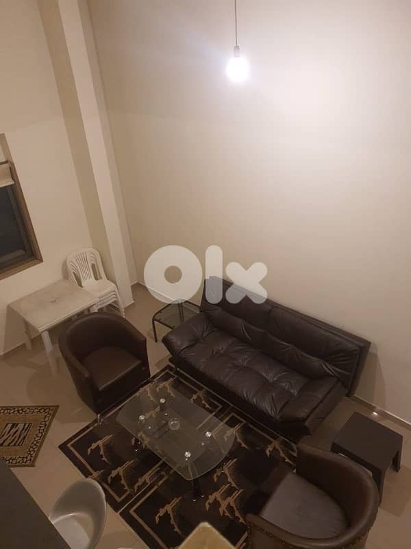 Luxurious Fully Furnished Apartments 0