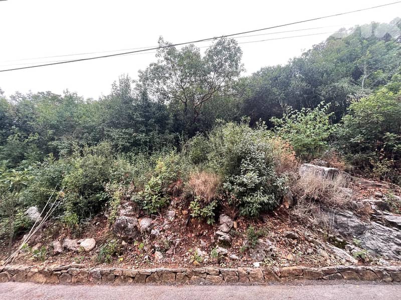 910 SQM Land in Chnaniir with a Breathtaking View 0