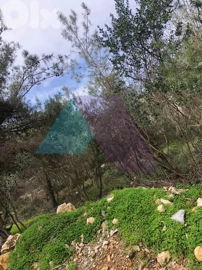 1333m2 land+prime location+sea view 4sale in Roumiehأرض للبيع في رومية 1333m2 land+prime location+sea view 4sale in Roumiehأرض للبيع في رومية