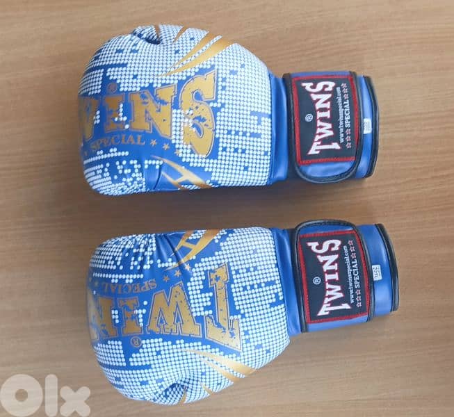 Boxing gloves 1