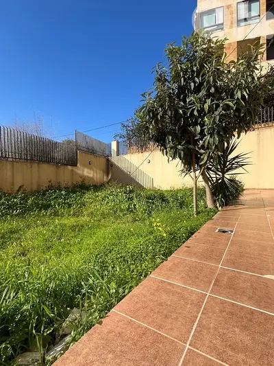 Fully furnished Apartment W/huge terrace in a prime location in Adma