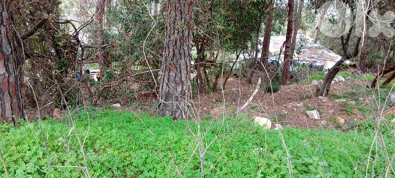 Beit El kekko land 1400 meters 400 dollars for square meter 03703564 0