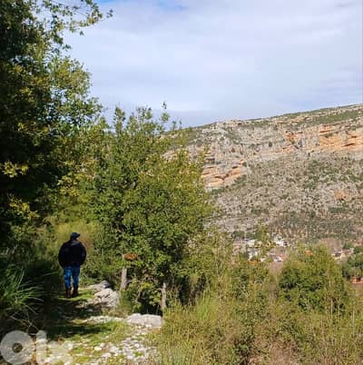 lands for sale in Tannourine_tahta أرض للبيع في تنورين_التحتا
