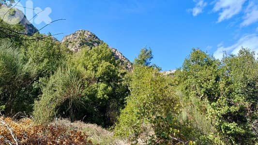 lands for sale in Tannourine_tahta أرض للبيع في تنورين_التحتا