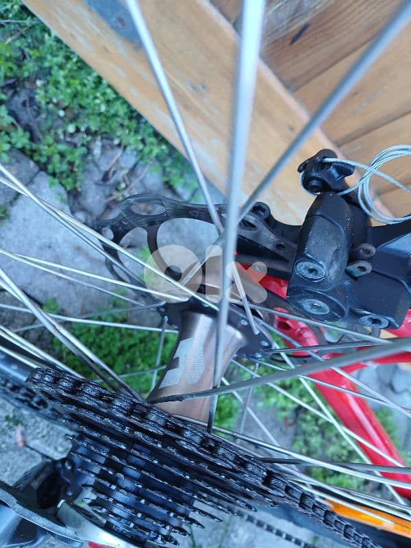 specialized Hardrok 29 8