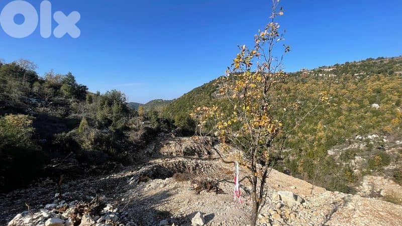 RWB198PK - Land for sale in Mechmech Jbeil ( HOT DEAL ) 0