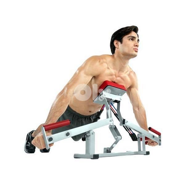 emson full body & push up workout 0