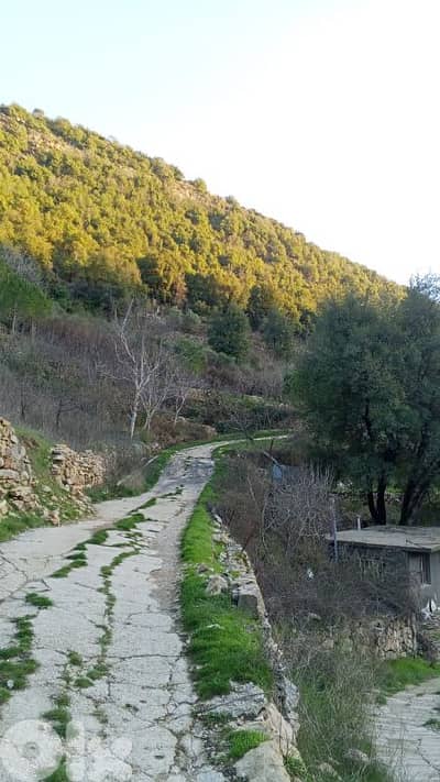 أرض للبيع في البتلون land for sale in batloun chouf الشوف