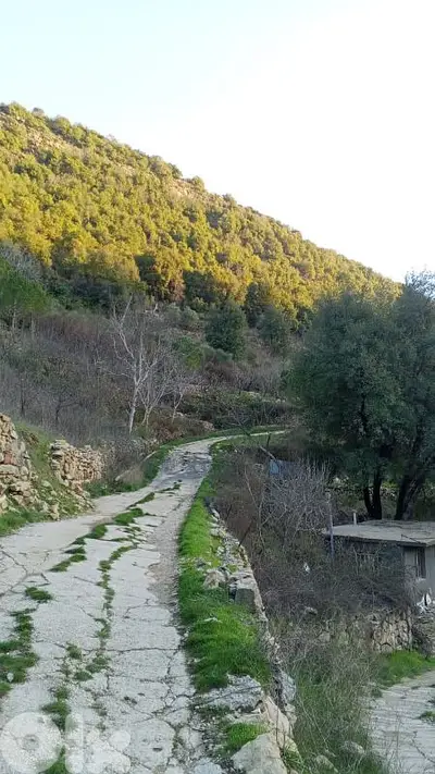 أرض للبيع في البتلون land for sale in batloun chouf الشوف