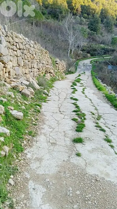 أرض للبيع في البتلون land for sale in batloun chouf الشوف