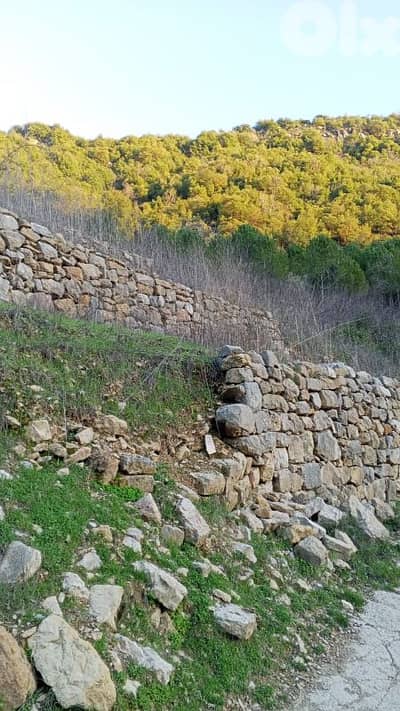 أرض للبيع في البتلون land for sale in batloun chouf الشوف
