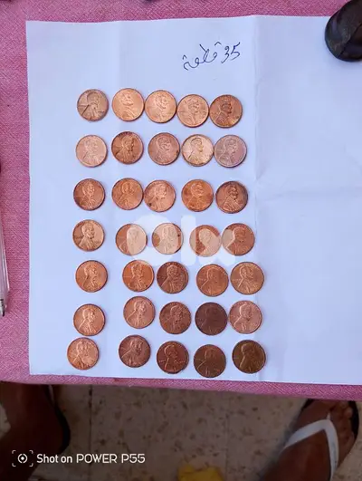 جل الديب