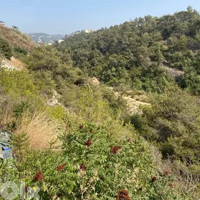 Land for Sale Bchamoun | أرض للبيع في بشامون