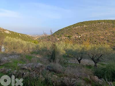 RWB152DL - Land for sale in Assia Batroun