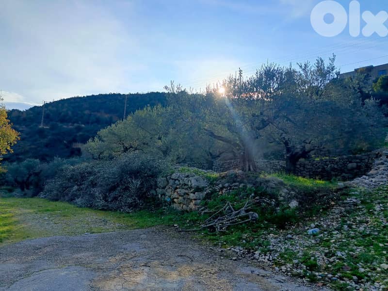 RWB152DL - Land for sale in Assia Batroun 2