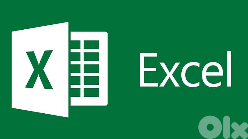 LEARN TO MASTER ALL MICROSOFT PROGRAMS+PROJECT DEVELOPMENT SUPPORT 1