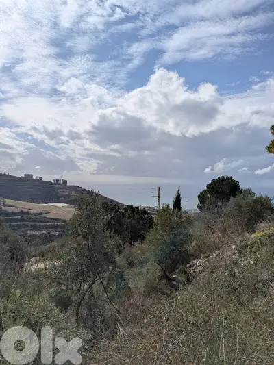 Land for sale in Hboub -  Jbeil | أرض للبيع في حبوب -