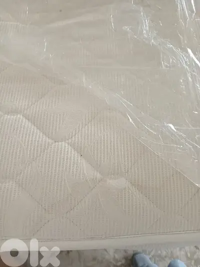 فرشتين FAP  مفرد