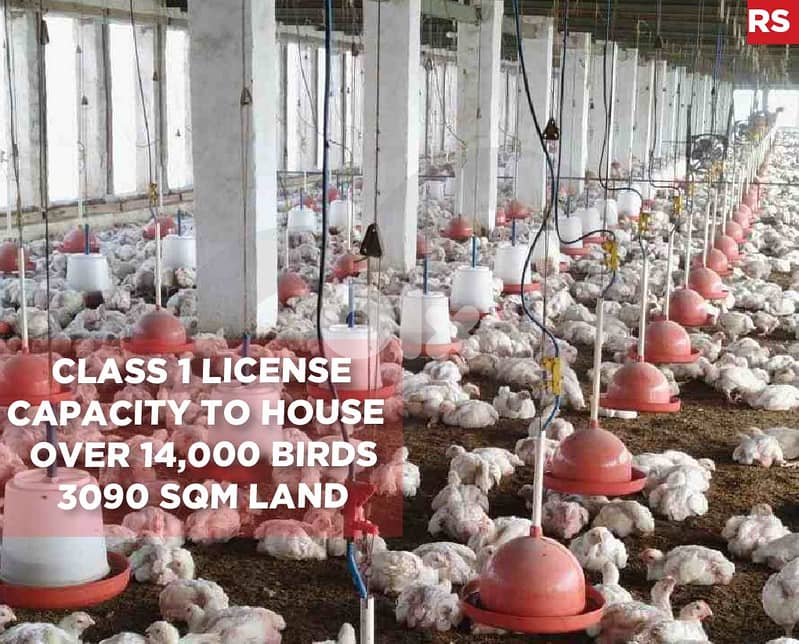 Chicken Farm in Jbeil for sale With class 1 license REF#RS120796 0