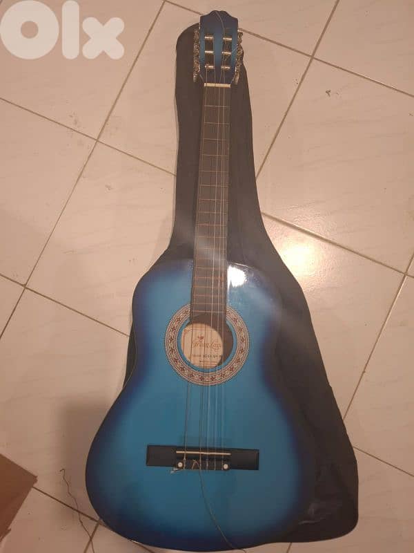 electric guitar and normal guitar 1