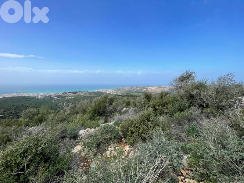 Perfect in land for (investors)  in EEbrin ( batroun)   85$/ sqm 0