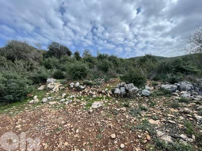Perfect in land for (investors)  in EEbrin ( batroun)   85$/ sqm